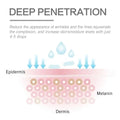 Hyaluronic Acid Liquid Foundation Waterproof No Creasing Long-Lasting Moisturizing No Separation Oil-Free Female Makeup Products