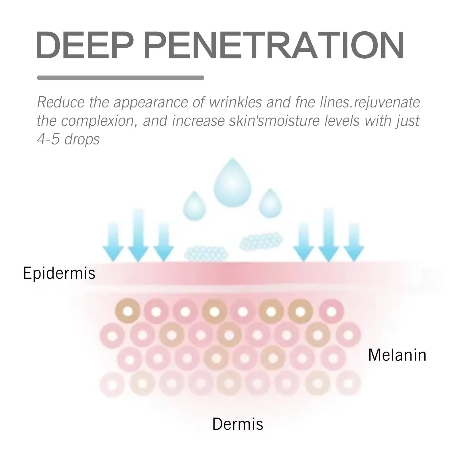 Hyaluronic Acid Liquid Foundation Waterproof No Creasing Long-Lasting Moisturizing No Separation Oil-Free Female Makeup Products